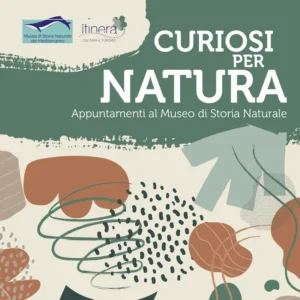 Curiosi per natura - Appuntamenti al MusMed