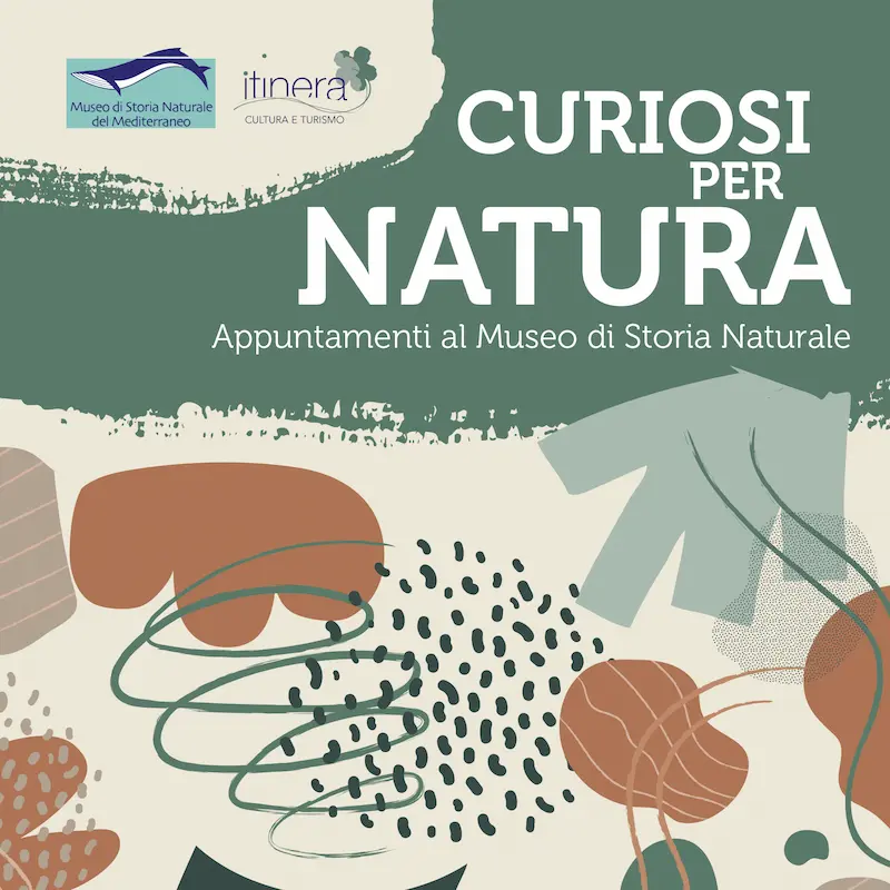 Curiosi per natura - Appuntamenti al MusMed