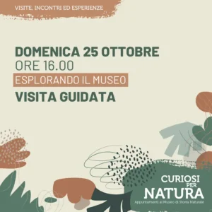 ESPLORANDO IL MUSEO - VISITA GUIDATA