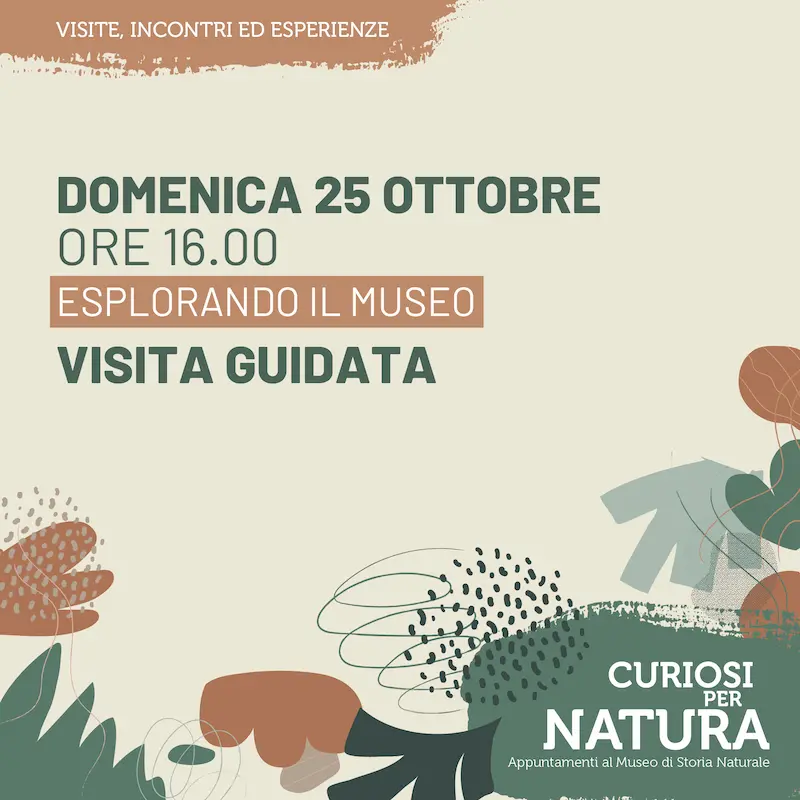 ESPLORANDO IL MUSEO - VISITA GUIDATA
